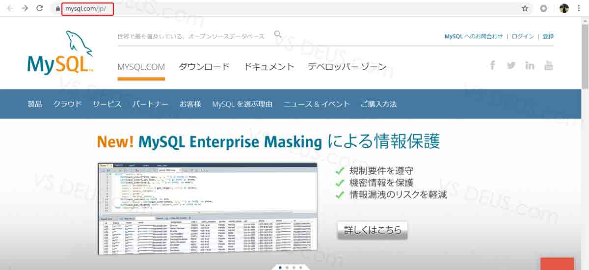 MySQLをDLしてインストールする xrsns.com